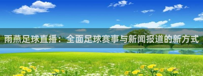 雨燕足球直播：全面足球赛事与新闻报道的新方式