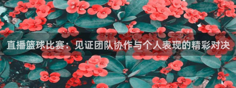 直播篮球比赛：见证团队协作与个人表现的精彩对决