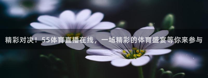 精彩对决！55体育直播在线，一场精彩的体育盛宴等你来参与