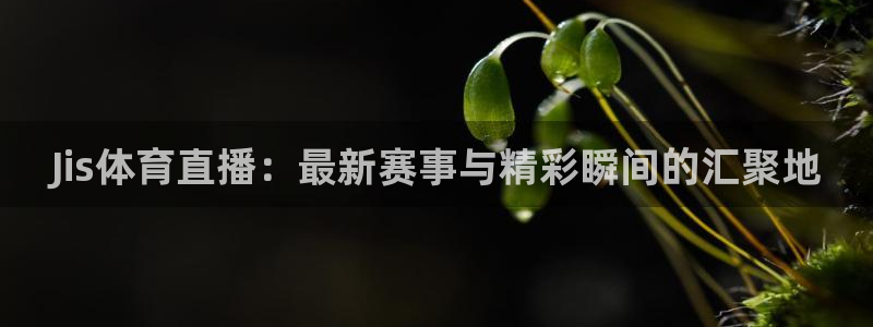 Jis体育直播：最新赛事与精彩瞬间的汇聚地