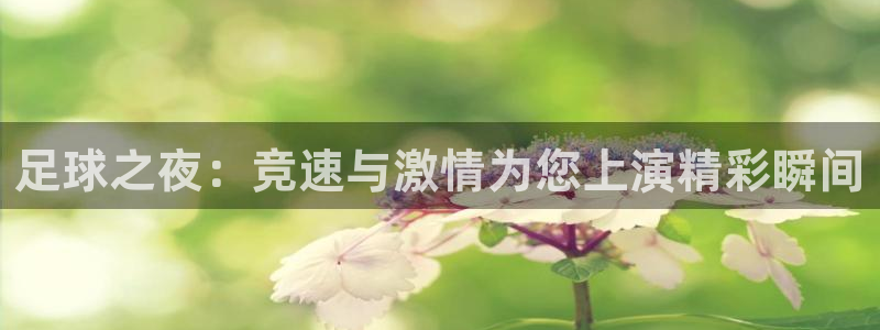足球之夜：竞速与激情为您上演精彩瞬间