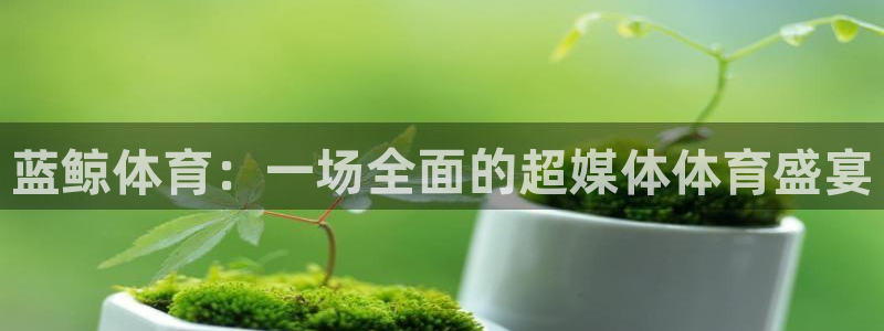 蓝鲸体育：一场全面的超媒体体育盛宴