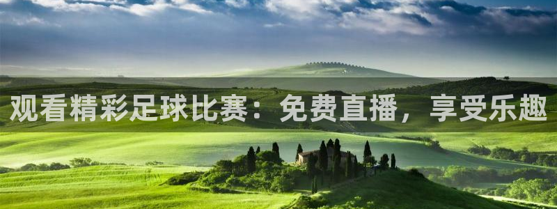 观看精彩足球比赛：免费直播，享受乐趣