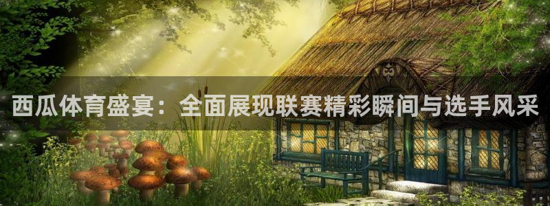 西瓜体育盛宴：全面展现联赛精彩瞬间与选手风采